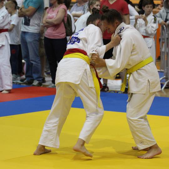 Két érem és pontszerző helyek a judo diákolimpián